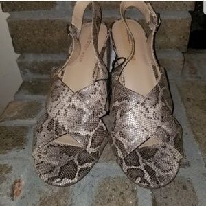 Who what wear snakeskin block heel sandals.